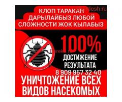 Клоп таракан жок кылабыз 100% гарантиясы менен